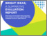 [thumbnail of 79_PTC_Bright_Ideas_summative_evaluation_report_V2.pdf]