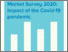 [thumbnail of WP-2020-08-Impact of the Covid-19 pandemic.pdf]